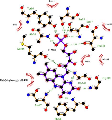 The Crystal Structure Of Pseudomonas Putida Azoreductase The Active