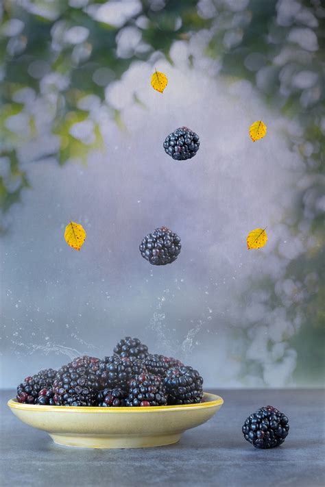 Blackberry Buah Jatuh Masih Foto Gratis Di Pixabay Pixabay