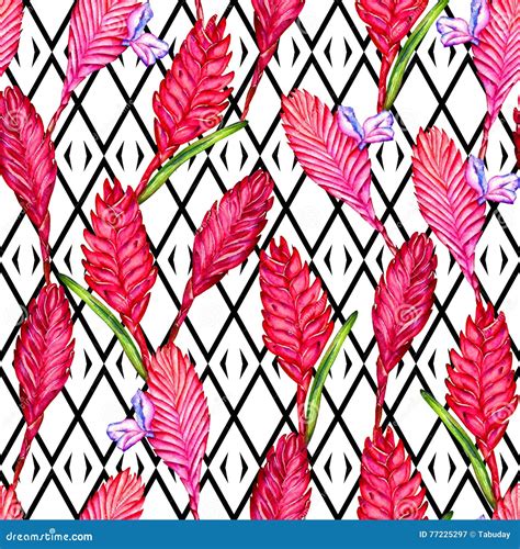 Tropical Floral Seamless Pattern Stock Illustration Illustration Of