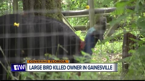 Pd Florida Man Killed By Cassowary A Rare Emu Like Bird