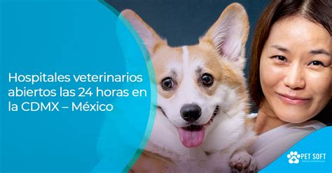 Hospitales veterinarios abiertos las 24 horas en la CDMX México