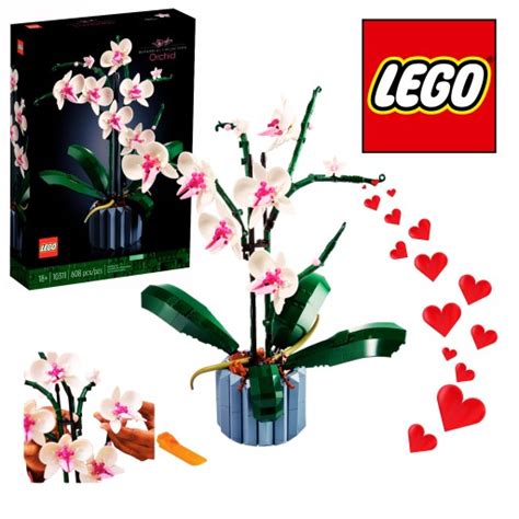 Lego Icons Orchidea I Upi Ksz Sw J Biurkowy K Cik Na Prezent