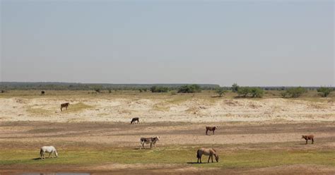 IMF sees drought causing Argentina contraction of 2.5% in 2023 | Reuters