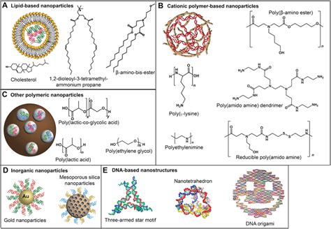 Types Of Nanomaterials Used For Nucleic Acid Delivery Broad Classes Of Download Scientific