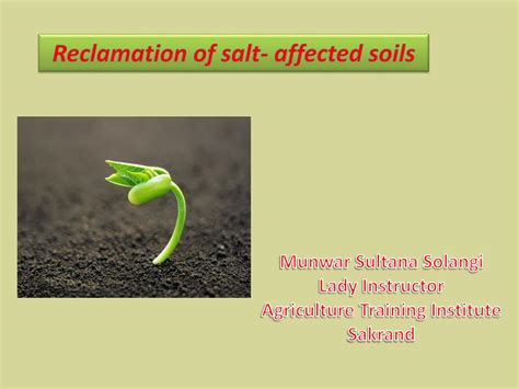 Ppt Reclamation Of Salt Affected Soils Powerpoint Presentation Free