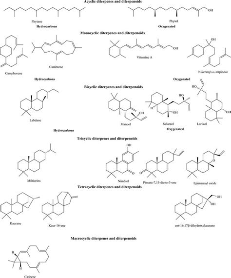 Terpenoids as Important Bioactive Constituents of Essential Oils ...