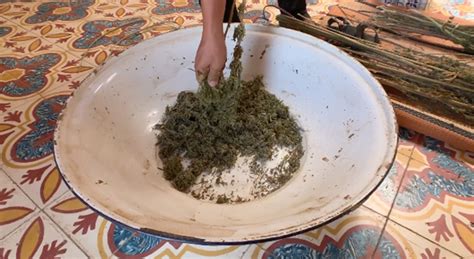 Traditional Moroccan Hash Making Part 2 Steve Deangelo