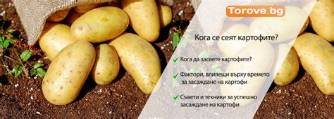 Кога се сеят картофите?