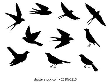 Sparrow Flying Silhouette