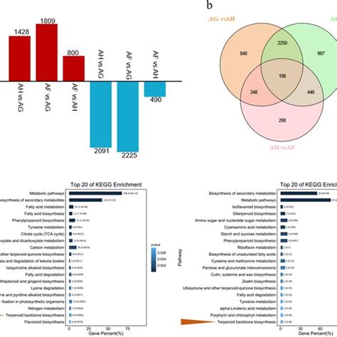 Distribution And Annotation Analysis Of Degs In Au Fruits At Three