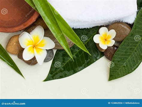 Spa Background with Green Leaves, Two Flowers Stock Photo - Image of ...