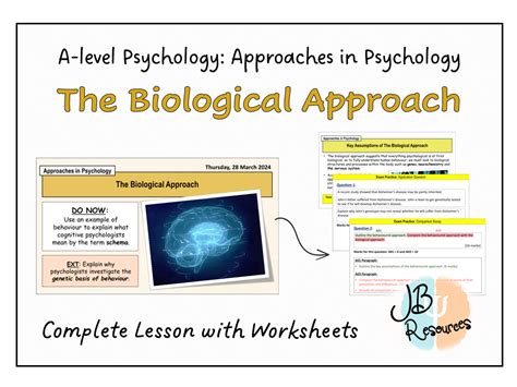 A Level Psychology THE BIOLOGICAL APPROACH Approaches In Psychology