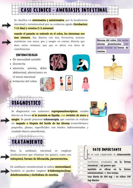 Caso Clínico Amebiasis Intestinal Nicolle Rojas Udocz