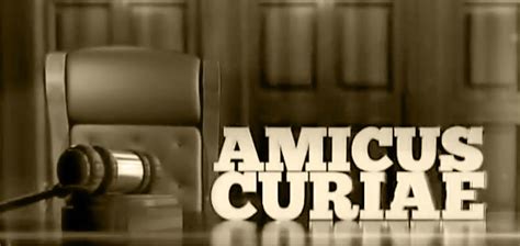 The Curious Case Of Amicus Curiae Radley Law