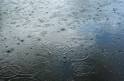 Rain drops stock image. Image of circle, nature, blue - 14453169