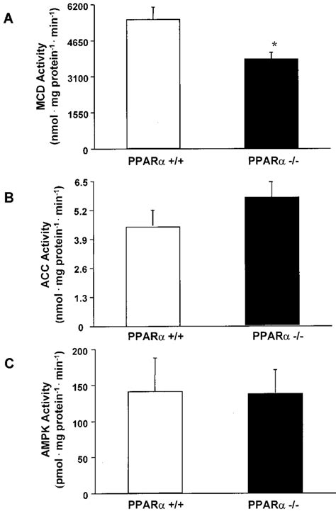 Activities of malonyl-CoA decarboxylase (A), acetyl- CoA carboxylase ...