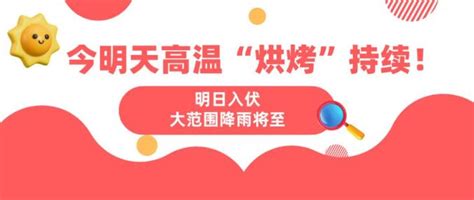 今明天高温“烘烤”持续！明日入伏，大范围降雨将至，降温在 澎湃号·政务 澎湃新闻 The Paper