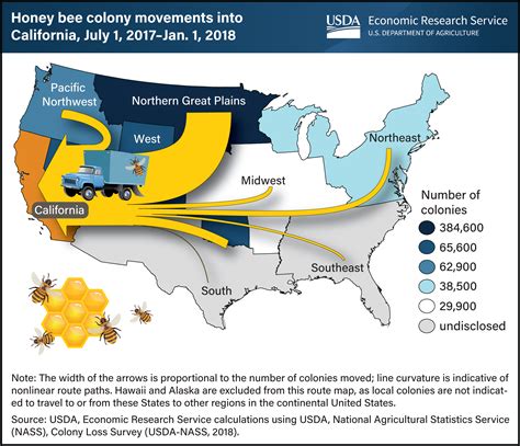 Thousands of commercial honey bee colonies are transported long