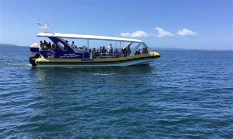 Jervis Bay Whale Watching Tours - Book Now | Experience Oz