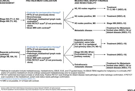 NCCN Guidelines Insights NonSmall Cell Lung Cancer Version 2 2023