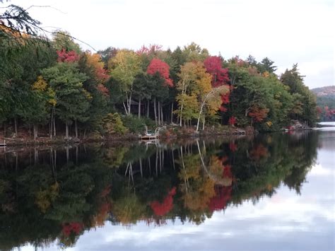 3 Ways to Protect Lake Winona this Fall | Lake Winona Improvement Association