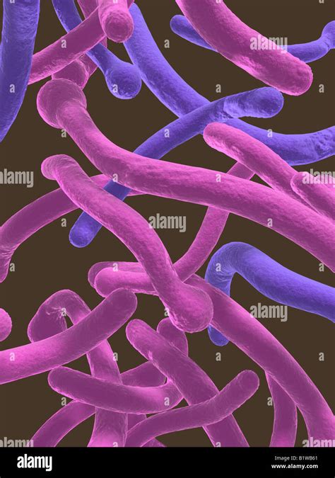 Candida Infektion Stockfotos Und Bilder Kaufen Alamy