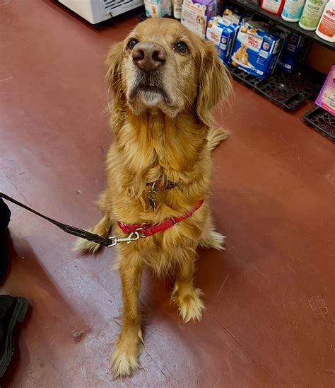 Park Pet Supply | Atlanta GA