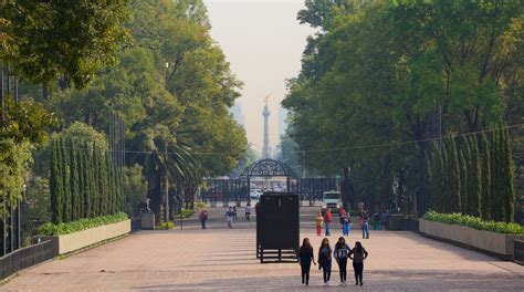 Visit Paseo de la Reforma in Mexico City | Expedia