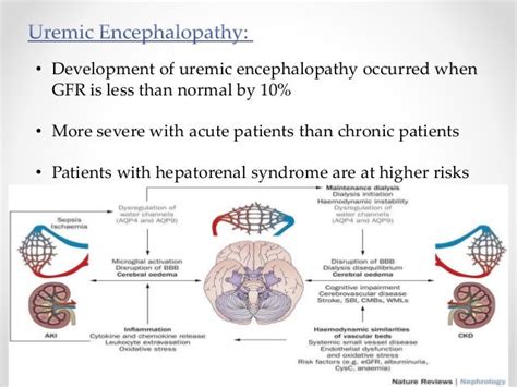 Metabolic encephalopathies 2