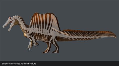 Science Uk Dinosaurs Spinosaurus