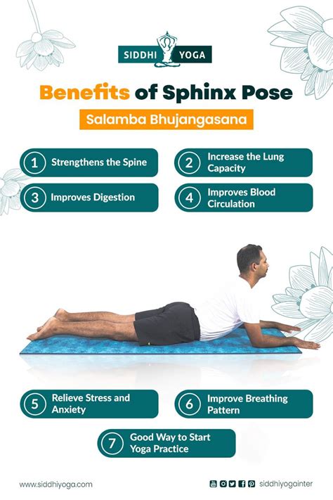 Salamba Bhujangasana Sphinx Pose For Beginners Siddhi Yoga