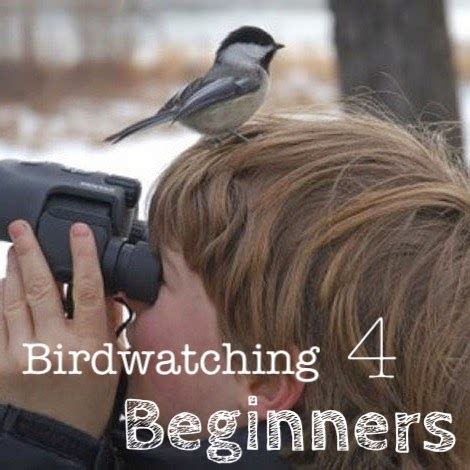 RainWriter Blog: Bird Watching Tips for Beginners