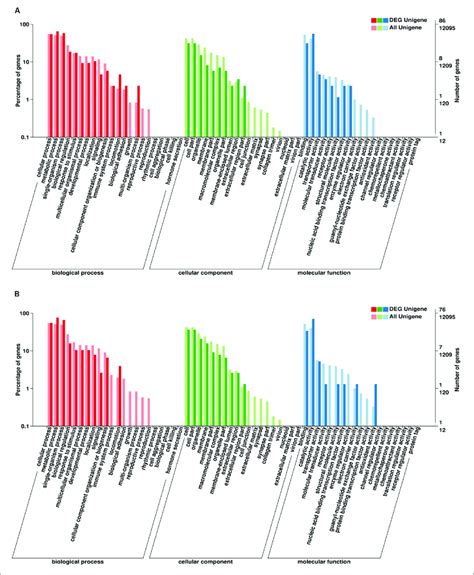 Gene Ontology GO Classification Of DEGs X Axis GO Classification