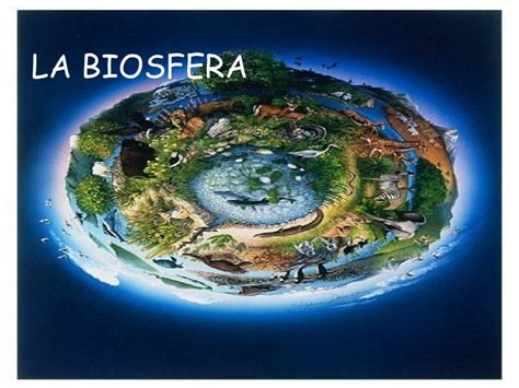 Tema 4 5 La Biosfera