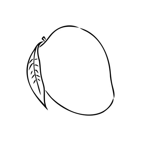 mango vector sketch 7308414 Vector Art at Vecteezy