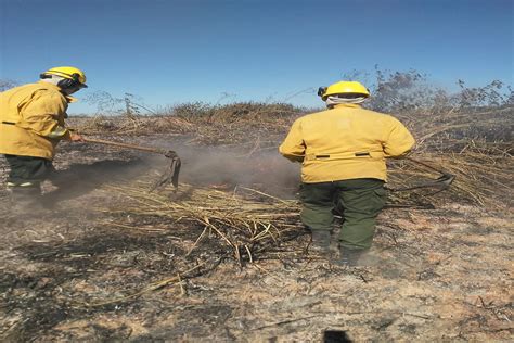 Combaten Focos ígneos En Islas Del Delta Entrerriano