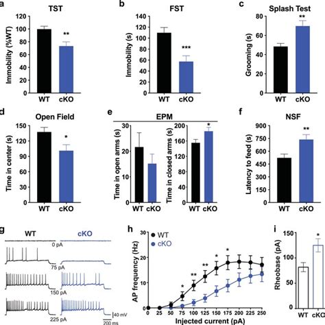 CKO Mice Exhibit Altered Affective Behaviors And Reduced Firing In VDG