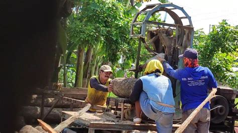 Gergaji Sawmil Rakitan Tak Berdaya Merajang Kayu Mindi Besar Pendek