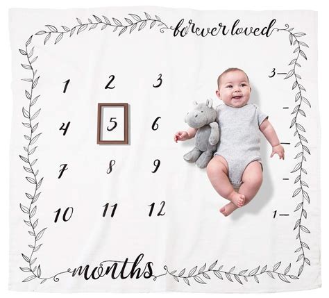 40 Baby Monthly Milestone Blanket PNG Information About Baby Furniture