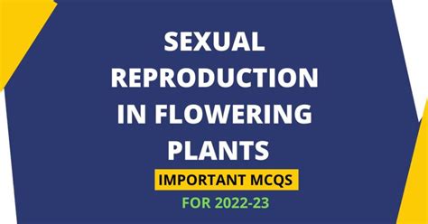 Sexual Reproduction In Flowering Plants Class 12 Mcq