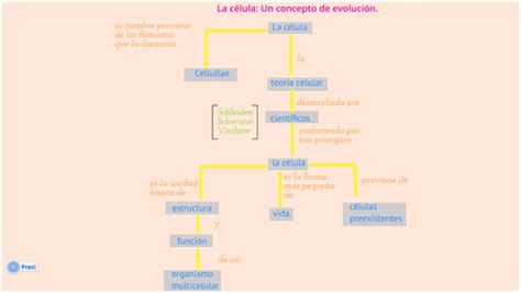 Mi Cuaderno De Biolog A Iii Cinthia Reyna Flores Mapa Conceptual