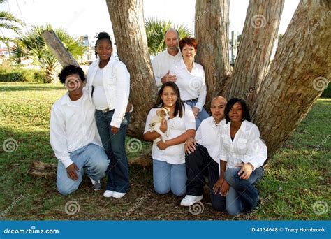 Large mixed race family stock photo. Image of black, foster - 4134648