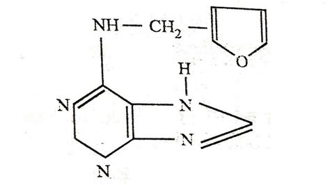 Cytokinins Overview Discovery Types Bioassay Cytokinins Functions