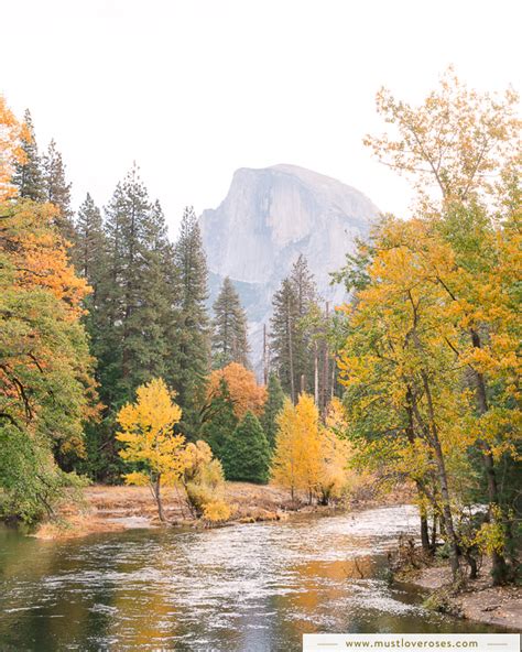 The Best Places to See Fall Colors in Yosemite National Park