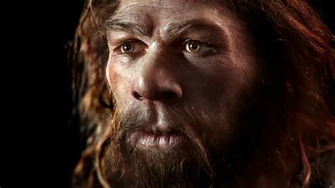 Did Neanderthals go to war with our ancestors?