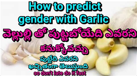 Garlic Test In Pregnancy In Telugu Gender Prediction Test With Garlic