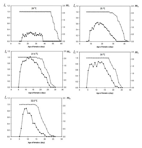 Specific Fertility M X And Survival Rate L X Of Neoseiulus Download Scientific Diagram