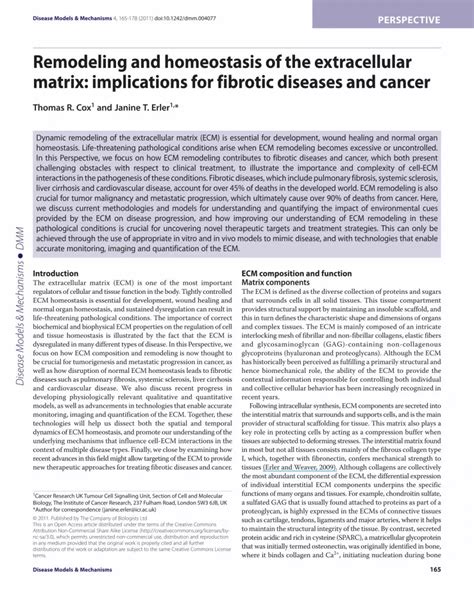 PDF Remodeling And Homeostasis Of The Extracellular Matrix