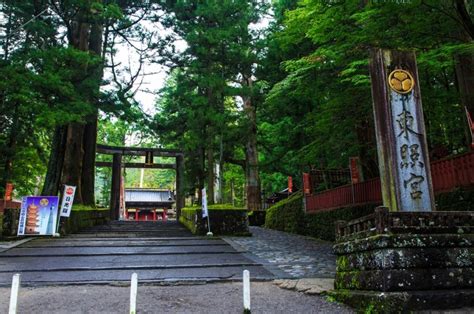 日光東照宮とは？徳川家康を祀る神社の歴史と見どころをわかりやすく解説 Rinto