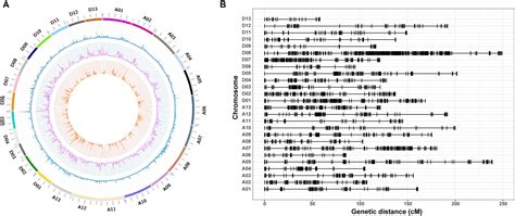 Frontiers Identification Of Loci And Candidate Genes Responsible For